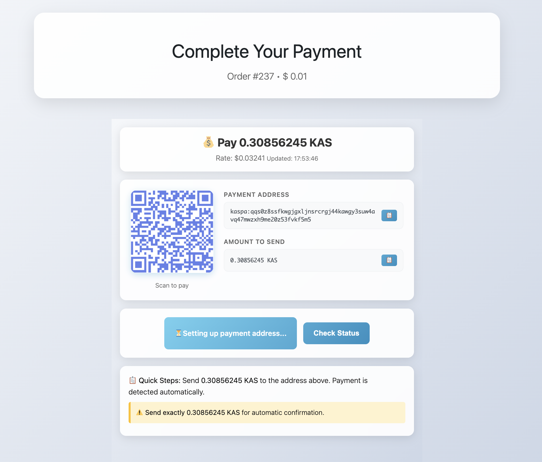 Kaspa payment checkout page: QR code and Kaspa address for sending KAS cryptocurrency